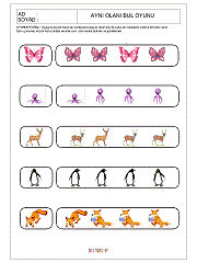 Aynısını Bul Oyunu