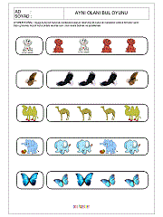 Aynısını Bul Oyunu