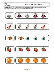 Aynısını Bul Oyunu