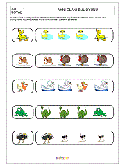 Aynısını Bul Oyunu