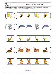 Aynısını Bul Oyunu