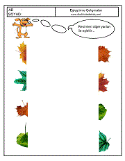 Eşleştirme Çalışmaları