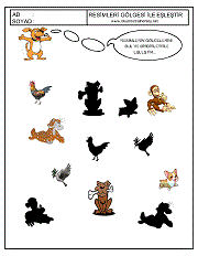 Gölgesi İle Eşleştir