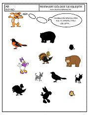 Gölgesi İle Eşleştir