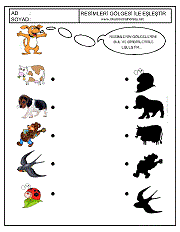 Gölgesi İle Eşleştir