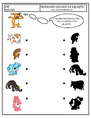 Gölgesi İle Eşleştir