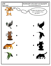 Gölgesi İle Eşleştir