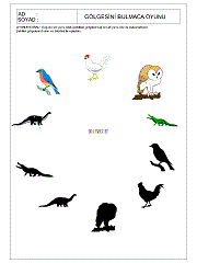 Gölgesi İle Eşleştir