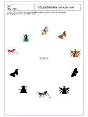 Gölgesi İle Eşleştir