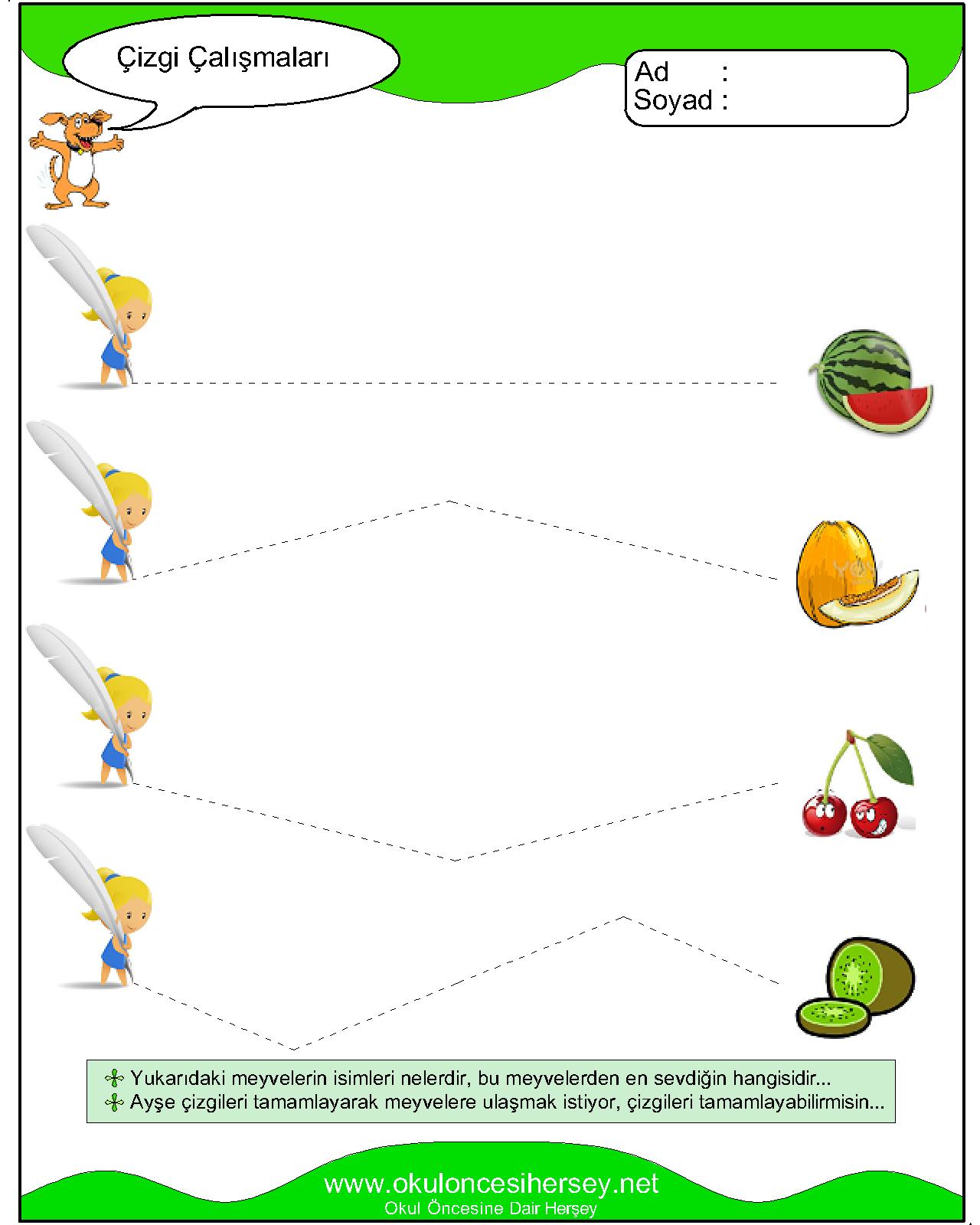 Çizgi Çalışmaları