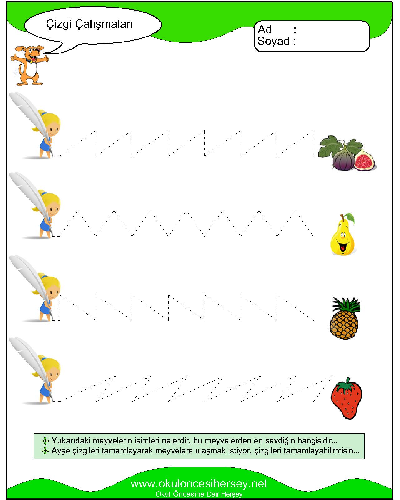 Çizgi Çalışmaları