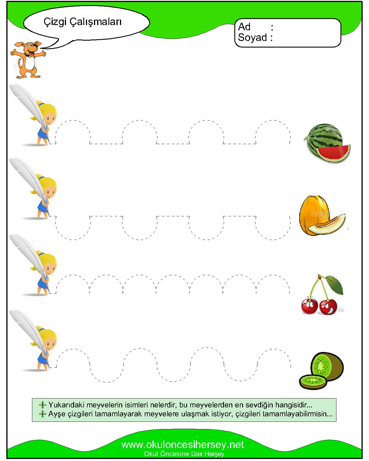 Çizgi Çalışmaları
