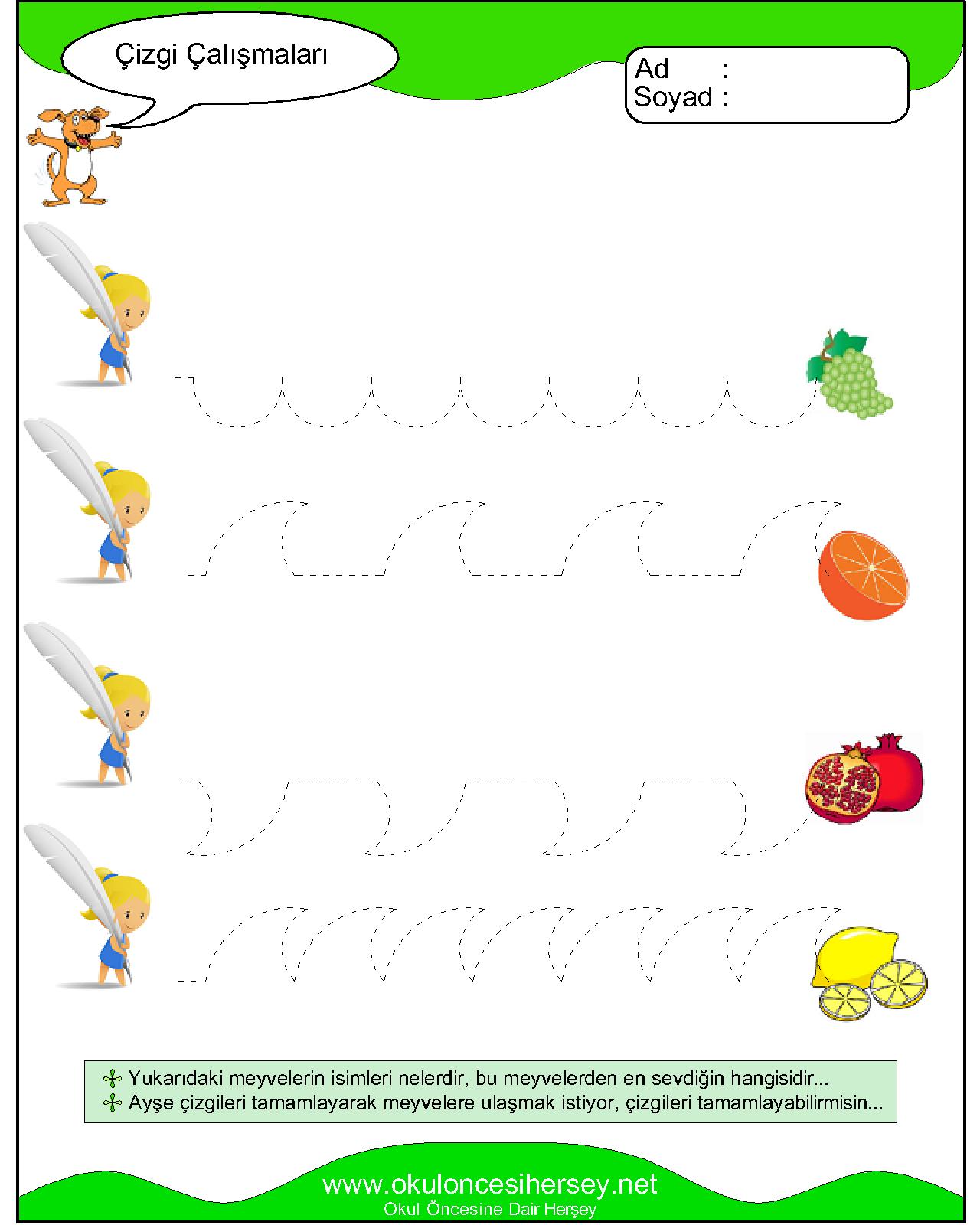 Çizgi Çalışmaları