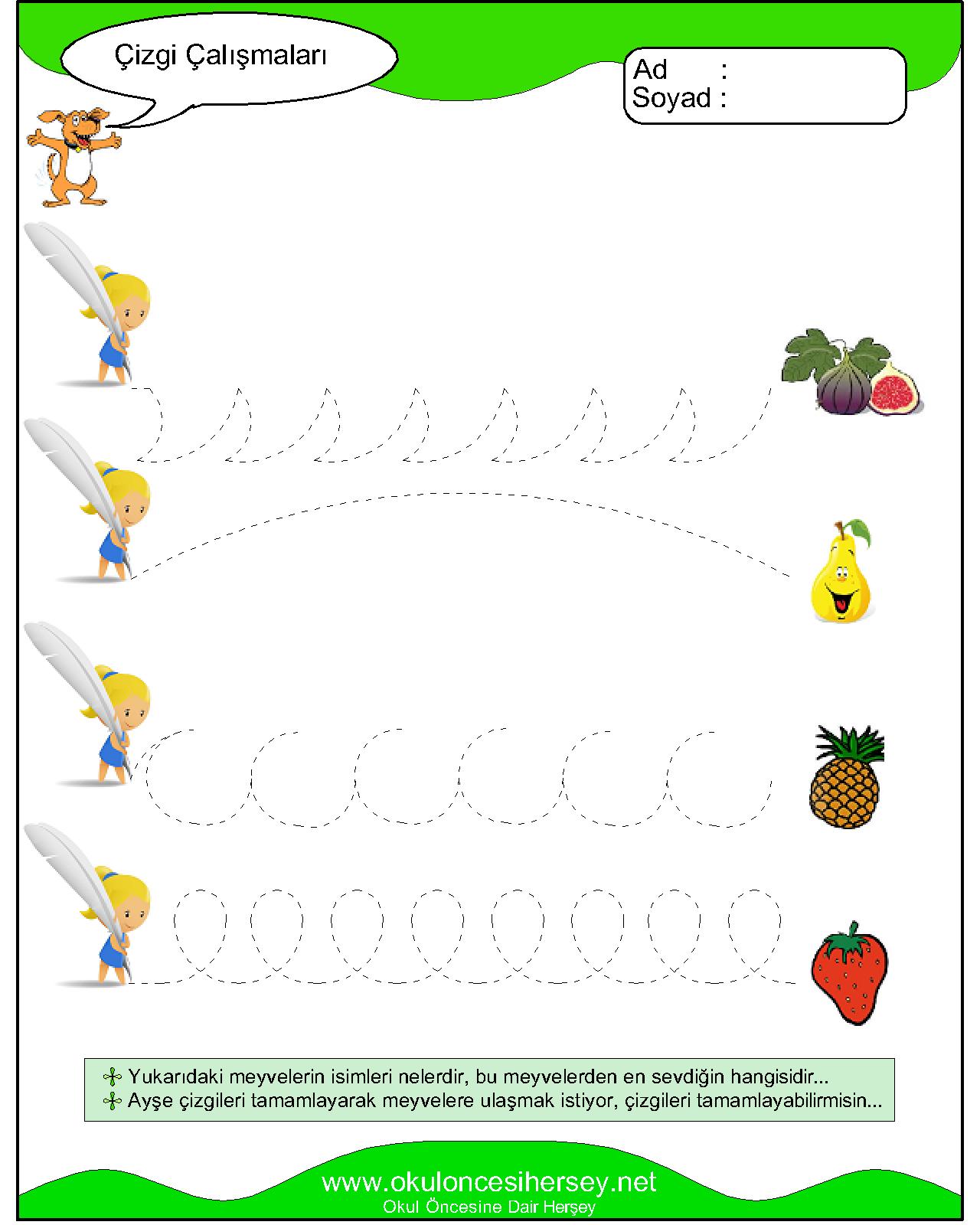 Çizgi Çalışmaları