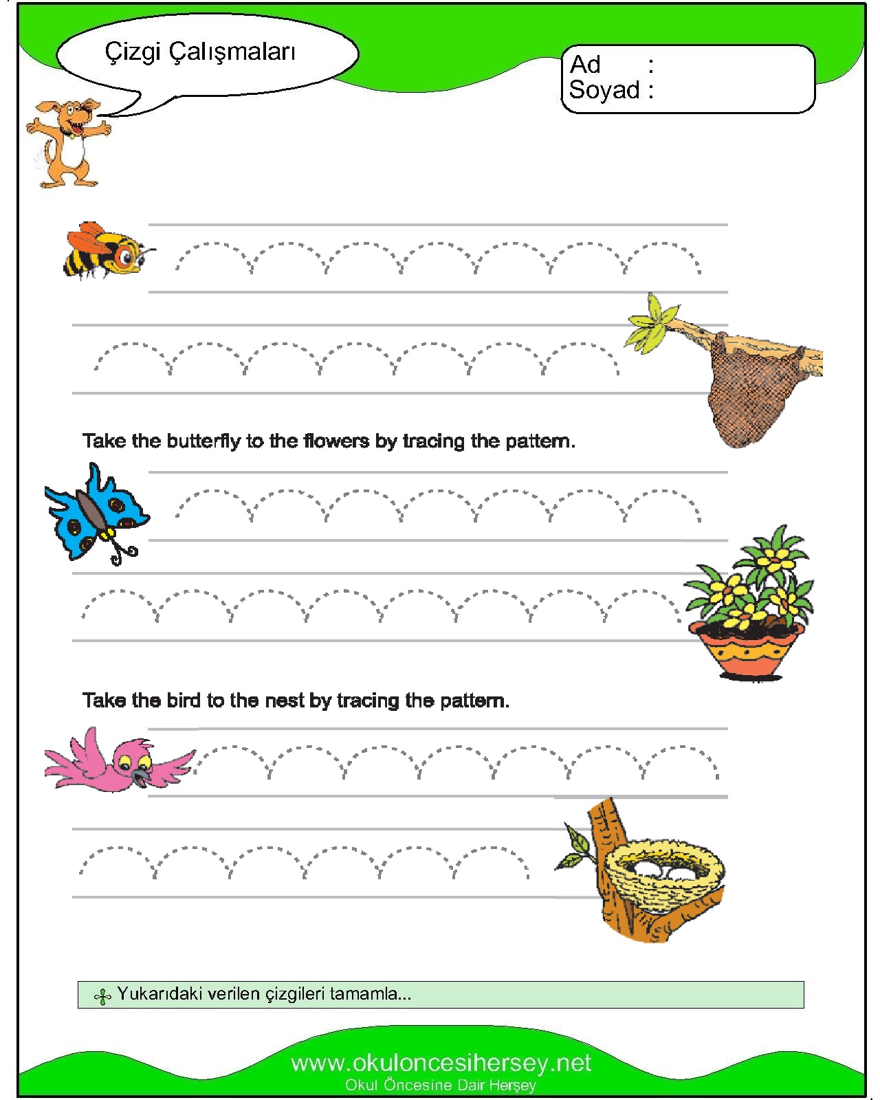 Çizgi Çalışmaları