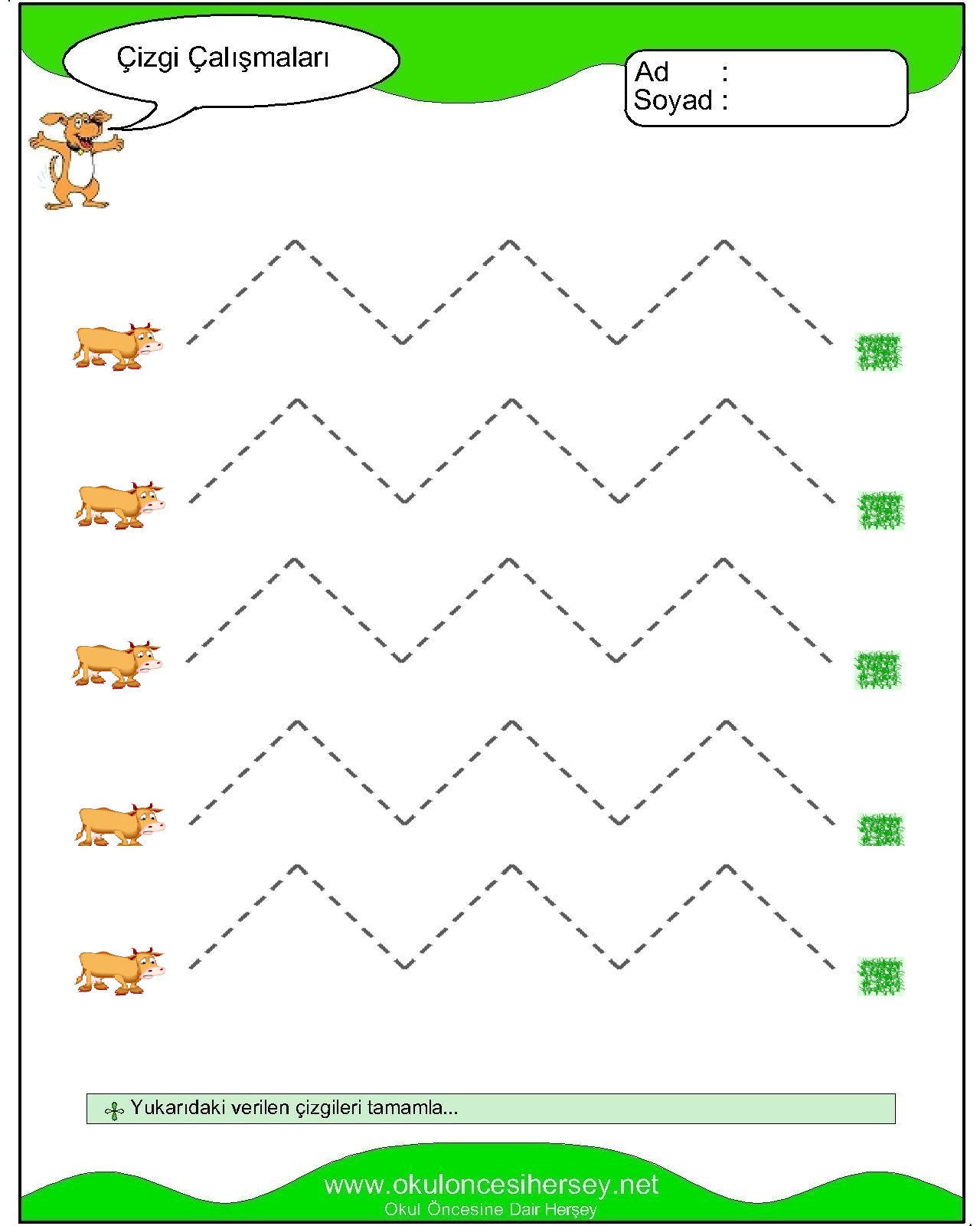 Çizgi Çalışmaları
