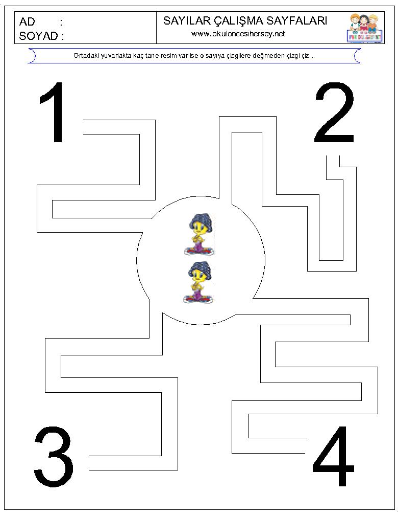 Çizgi Çalışmaları