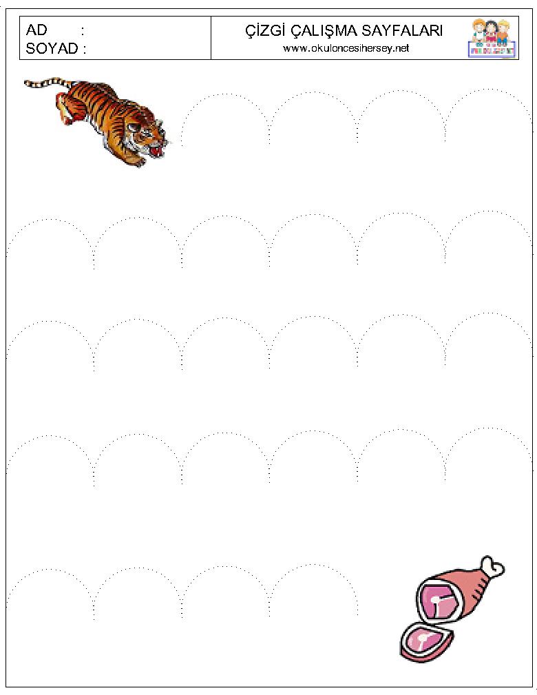 Çizgi Çalışmaları