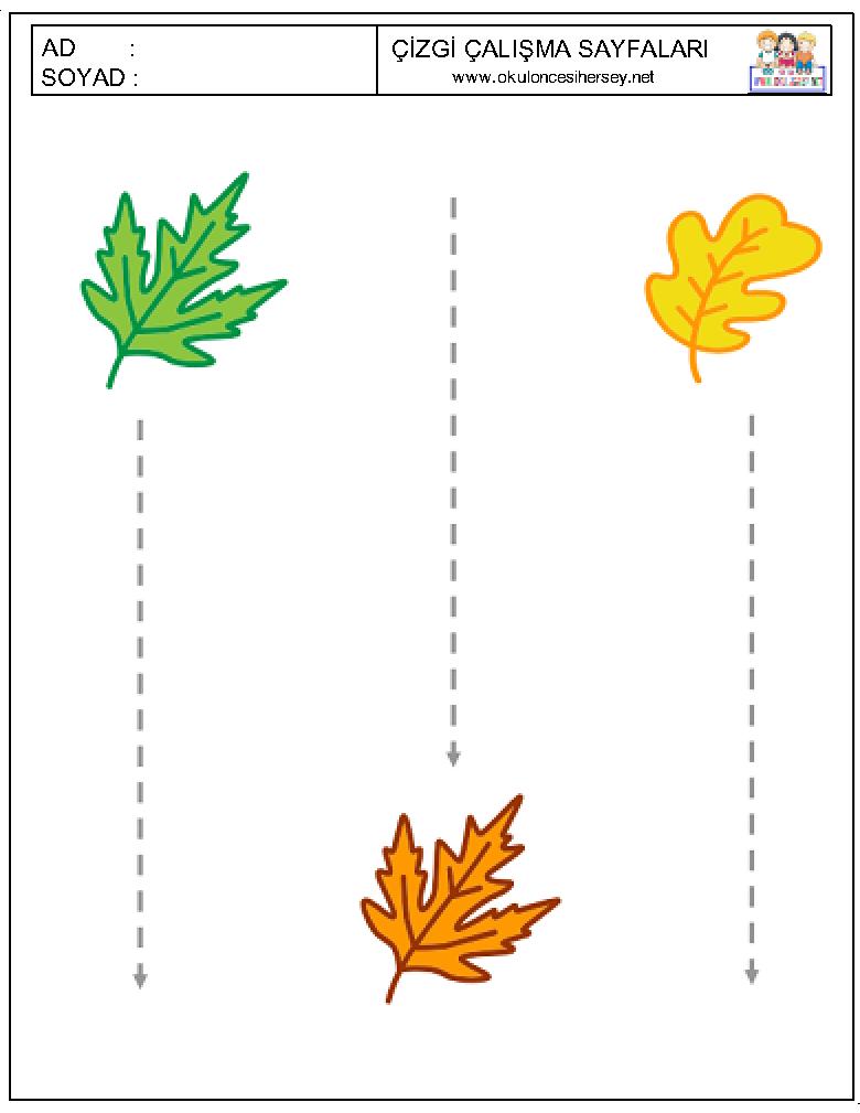 Çizgi Çalışmaları