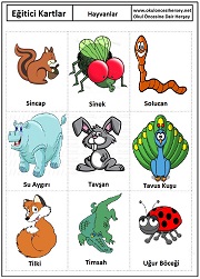 Okul öncesi Hayvanlar eğitici kartları