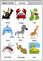 Okul öncesi Hayvanlar eğitici kartları
