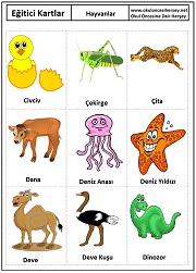Okul öncesi Hayvanlar eğitici kartları