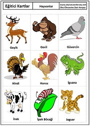 Okul öncesi Hayvanlar eğitici kartları