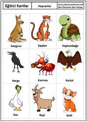 Okul öncesi Hayvanlar eğitici kartları