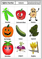 Okul öncesi Sebzeler eğitici kartları