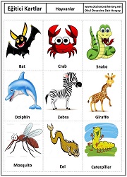 Okul öncesi Hayvanlar eğitici kartları