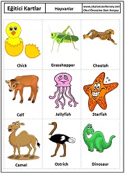 Okul öncesi Hayvanlar eğitici kartları