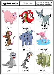 Okul öncesi Hayvanlar eğitici kartları