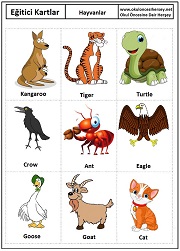 Okul öncesi Hayvanlar eğitici kartları