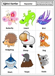 Okul öncesi Hayvanlar eğitici kartları