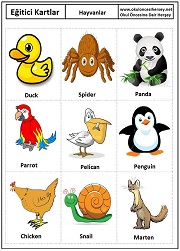 Okul öncesi Hayvanlar eğitici kartları