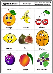 Okul öncesi Meyveler eğitici kartları