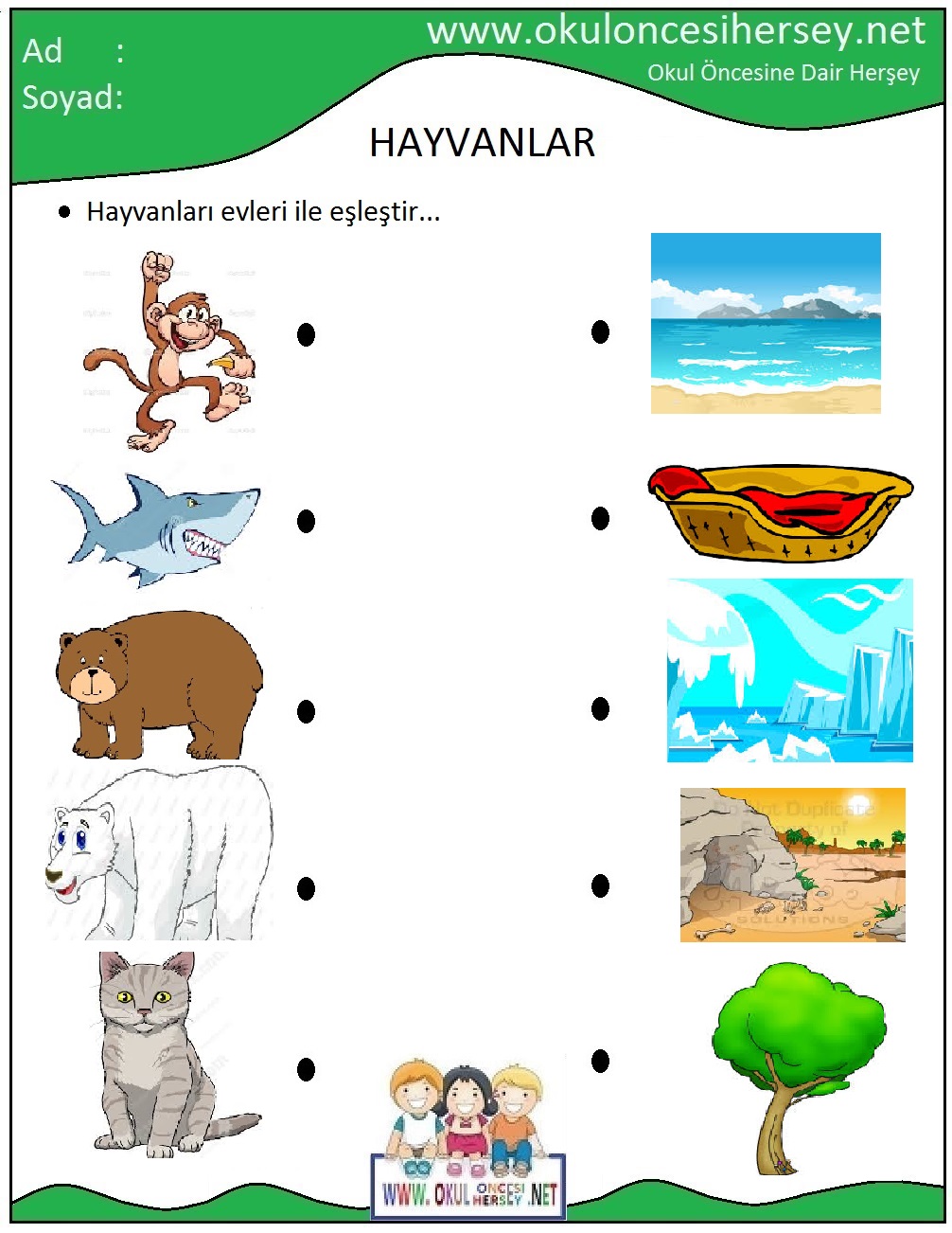 Where do these. Animals and their Habitats games. Animals and their Homes Worksheets. Animal Habitats Worksheets for Kids. Animals and their Habitats Worksheets.