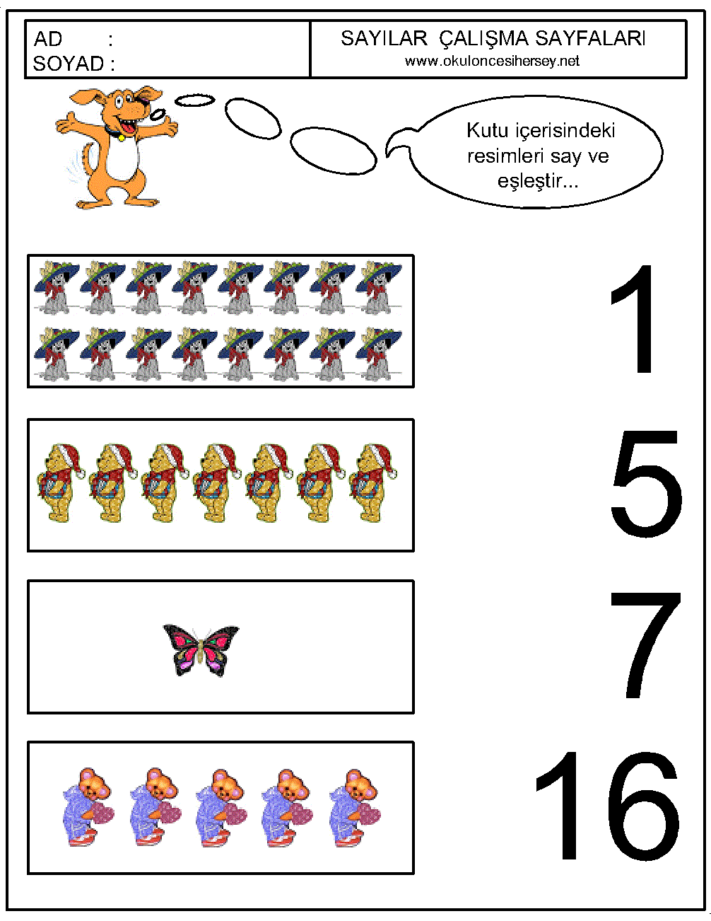 Sayıları Eşleştirme Çalışmaları