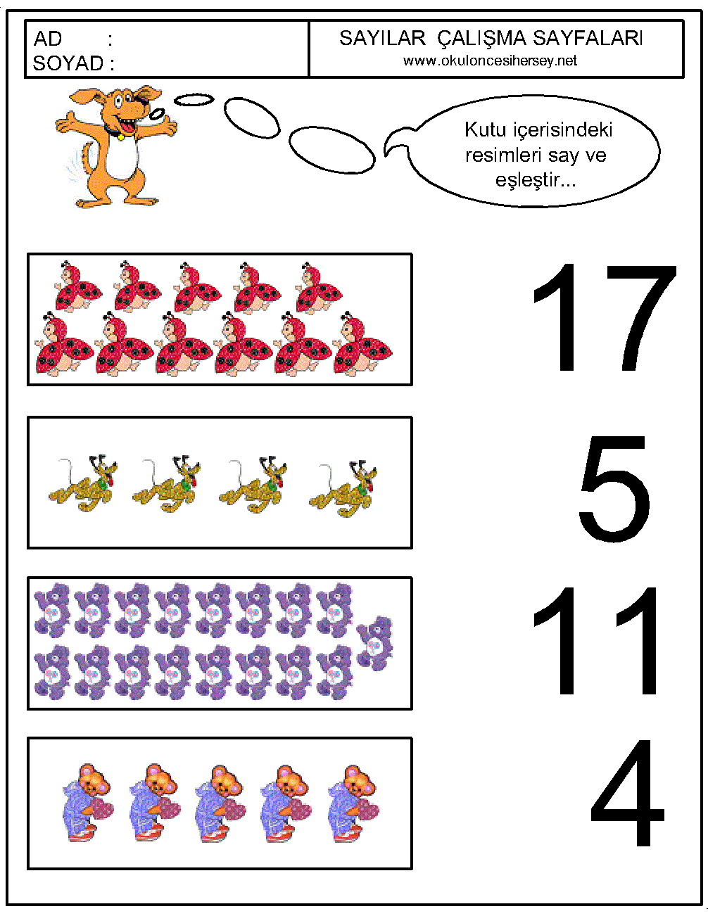 Sayıları Eşleştirme Çalışmaları