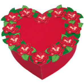 CD Kutusu Şablonlarıı