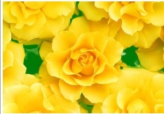 Özel Günler İçin Tebrik Kartları