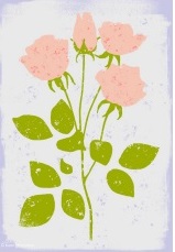 Özel Günler İçin Tebrik Kartları