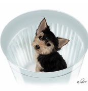 Özel Günler İçin Tebrik Kartları