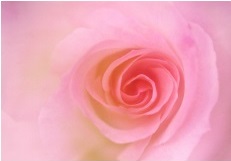 Özel Günler İçin Tebrik Kartları