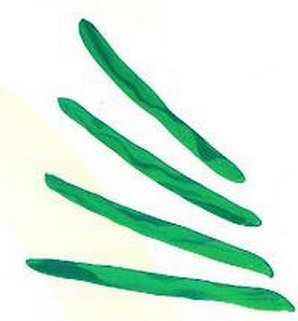 Oyun Hamurundan Palmiye Yapımı