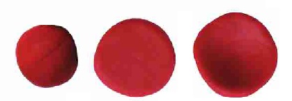 Oyun Hamurundan Mantar Yapımı