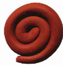 Oyun Hamurundan Salyangoz Yapımı