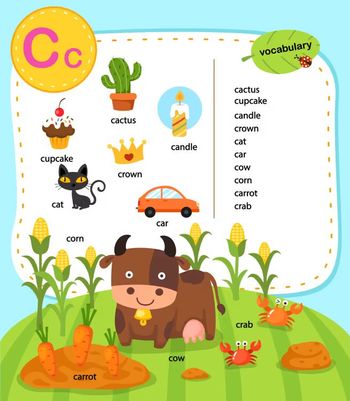 Çocuklar İçin  İngilizce Vocabulary  