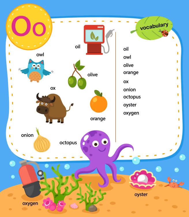 İngilizce Vocabulary