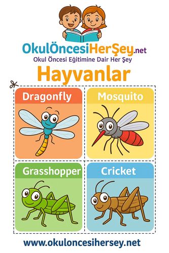 Çocuklar İçin  İngilizce Hayvanlar Flashkart  